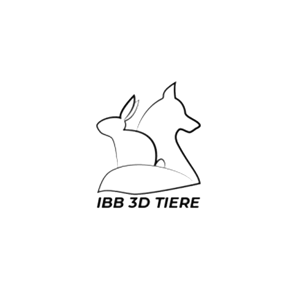 IBB 3D