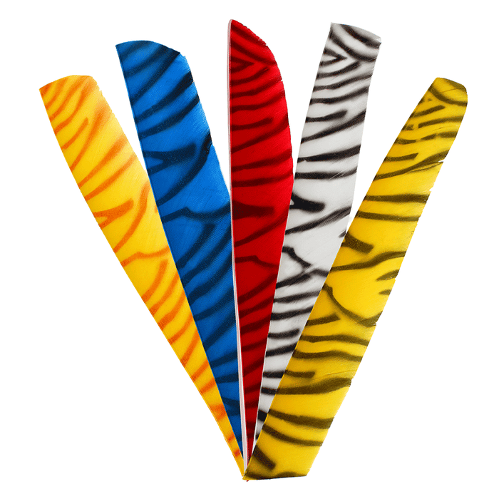 Feder RW Volle Länge zebra
