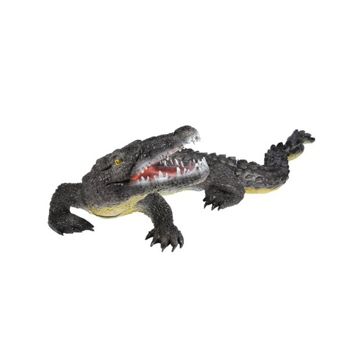 Franzbogen_Alligator