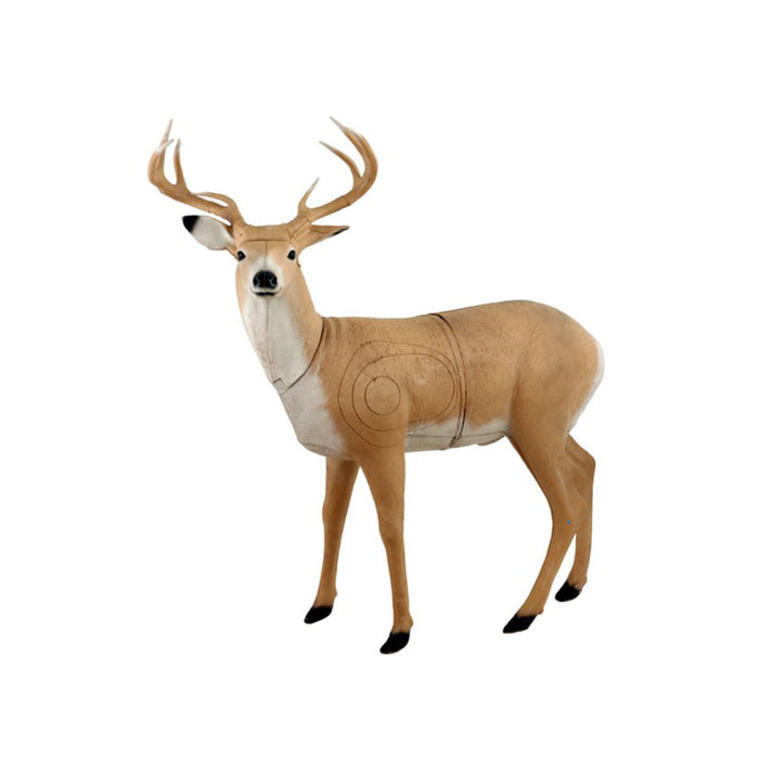 Franzbogen_Hirsch_stehend_1
