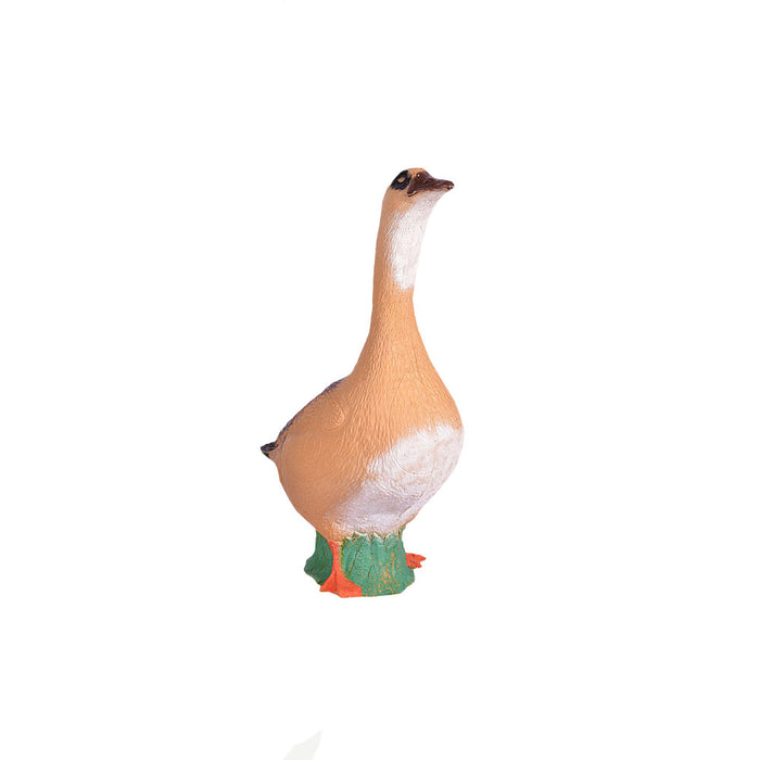 IBB_Nilgans_2
