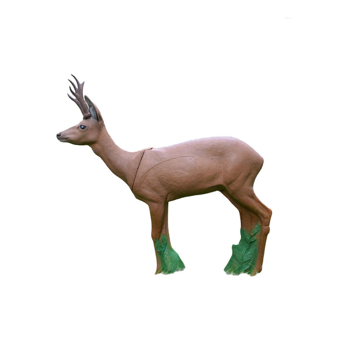 IBB_Rehbock_vorn_1