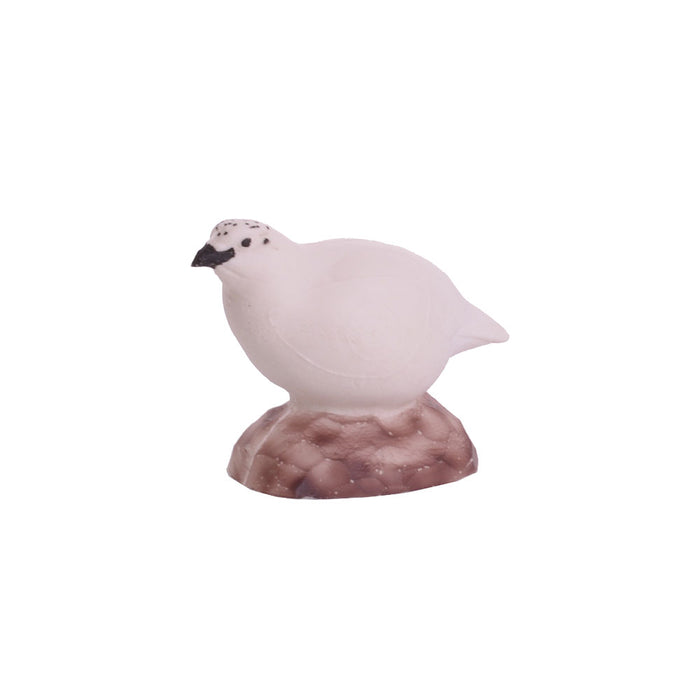 IBB_Schneehuhn_Henne_1