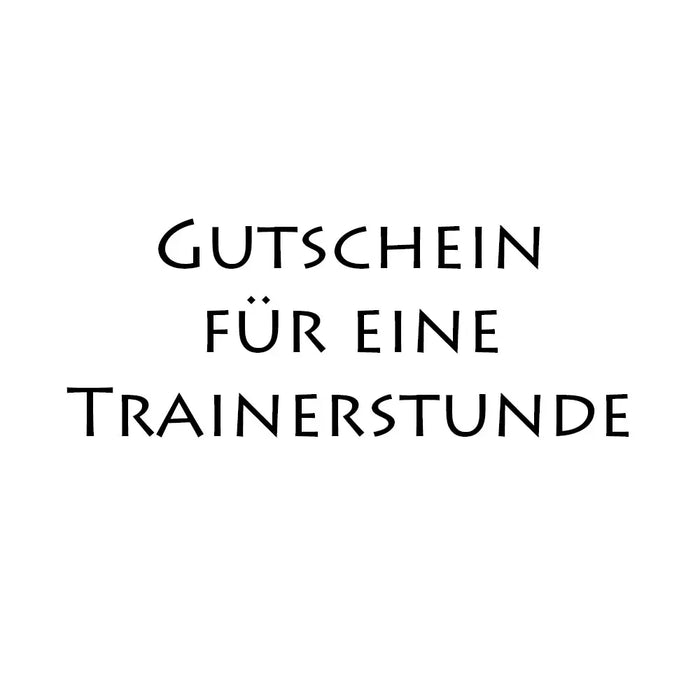 Trainerstunde