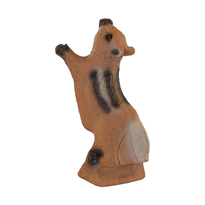 3D Target | Franzbogen - Streifenhörnchen