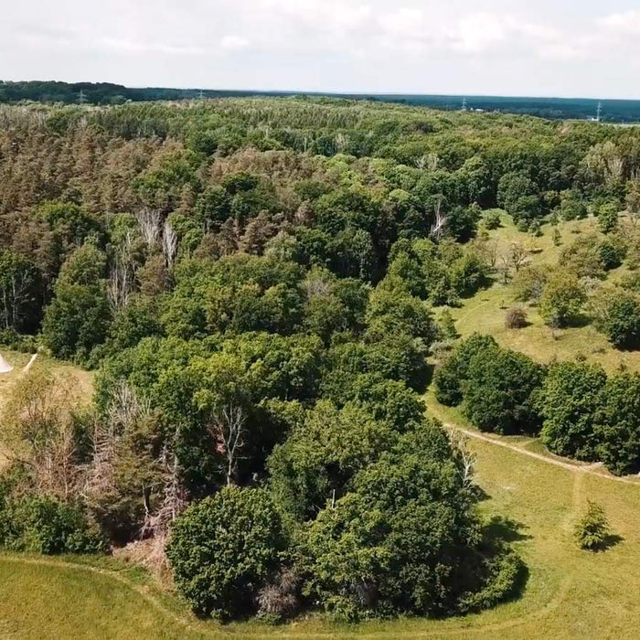 Bogentag an der Wildnisschule Hoher Fläming - 31.8.2026