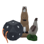 3D Ziele
