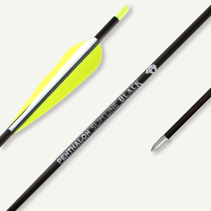 Penthalon Carbonpfeile Slim Line Black Fletches