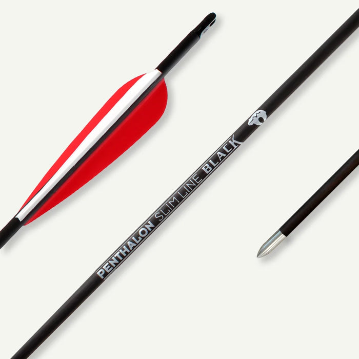 Penthalon Carbonpfeile Slim Line Black Fletches