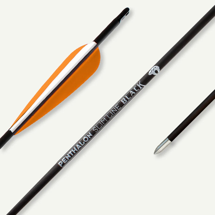 Penthalon Carbonpfeile Slim Line Black Fletches