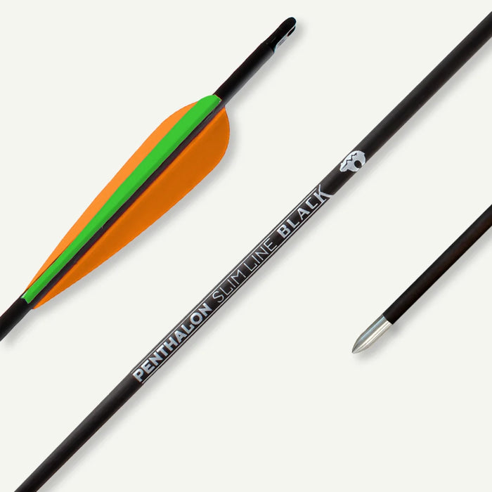 Penthalon Carbonpfeile Slim Line Black Fletches