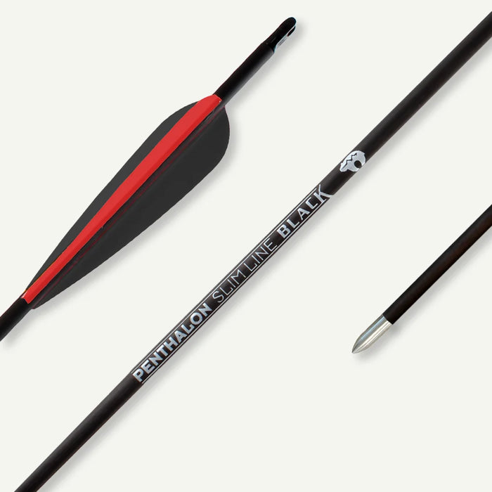 Penthalon Carbonpfeile Slim Line Black Fletches