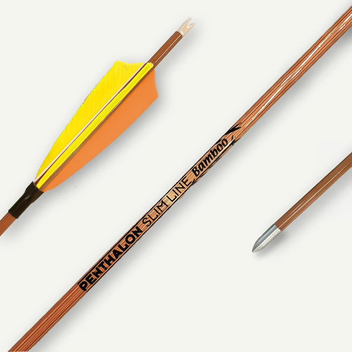 Penthalon Carbonpfeile Slim Line Bamboo Naturfedern