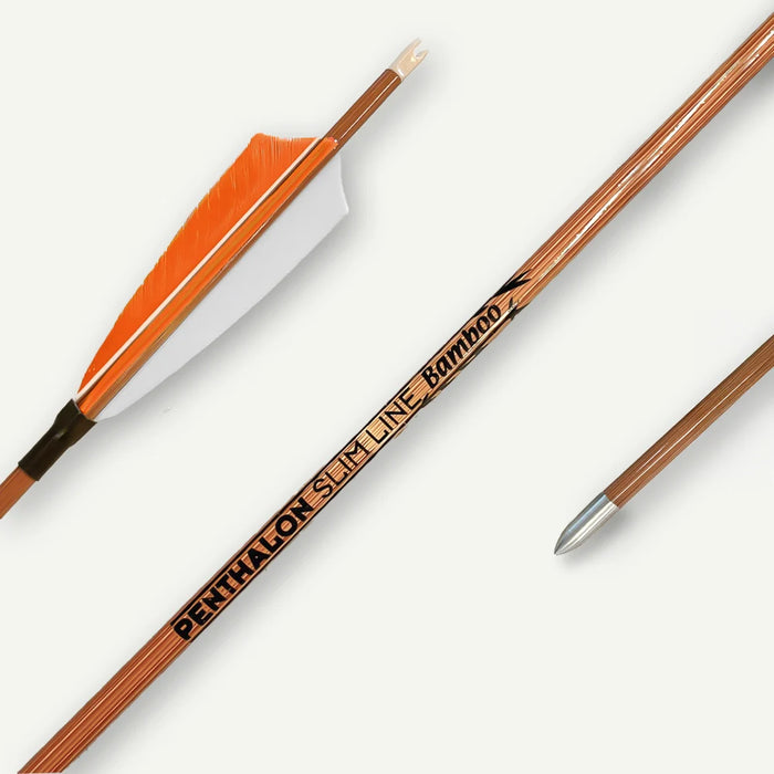 Penthalon Carbonpfeile Slim Line Bamboo Naturfedern