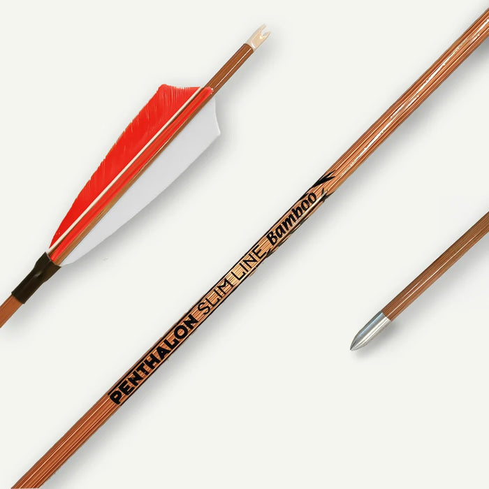Penthalon Carbonpfeile Slim Line Bamboo Naturfedern