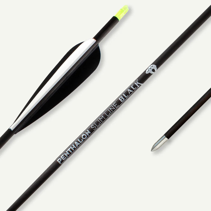 Penthalon Carbonpfeile Slim Line Black Fletches