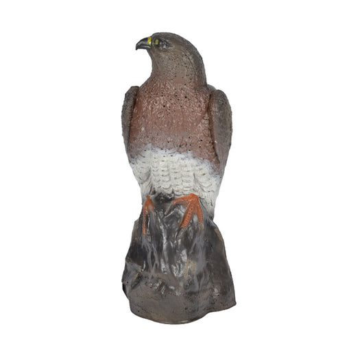 3D_Target_Franzbogen_Falke