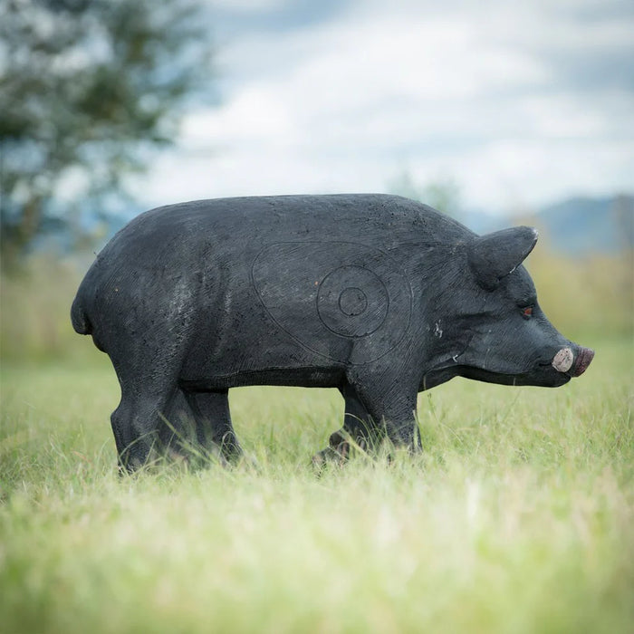 3D Target | Wildcrete - schwarzes Hausschwein