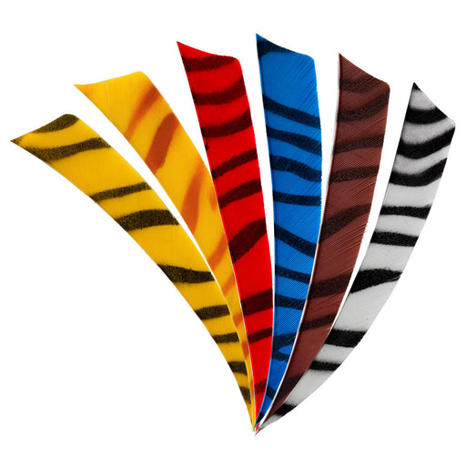 Feder_RW_Shield_4_Zoll_zebra