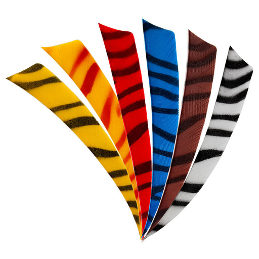 Feder_RW_Shield_5_Zoll_zebra