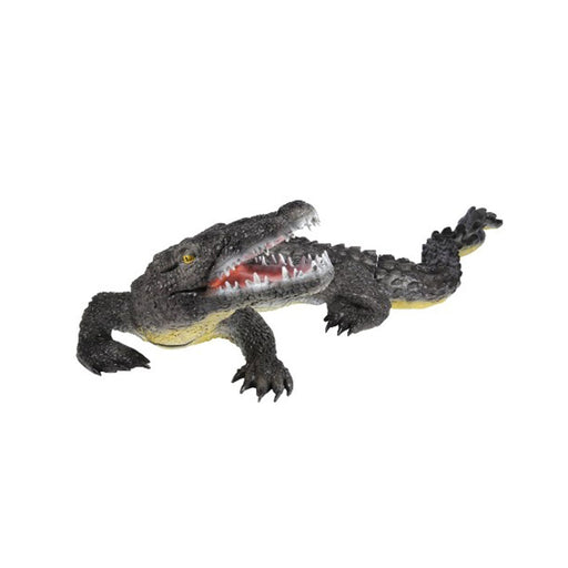 Franzbogen_Alligator