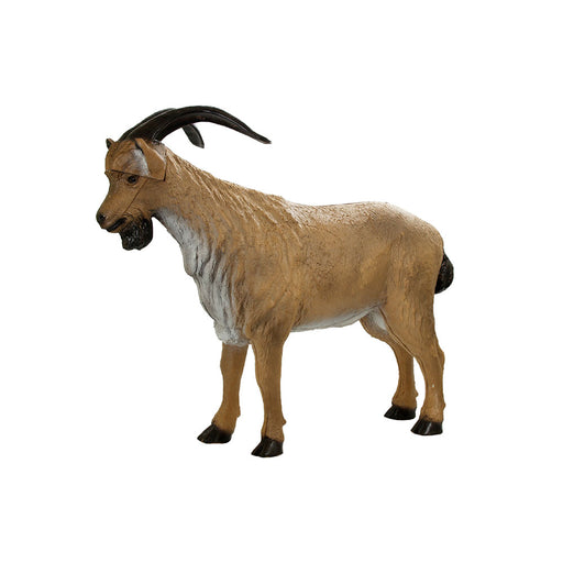 Franzbogen_Bergziegenbock_1