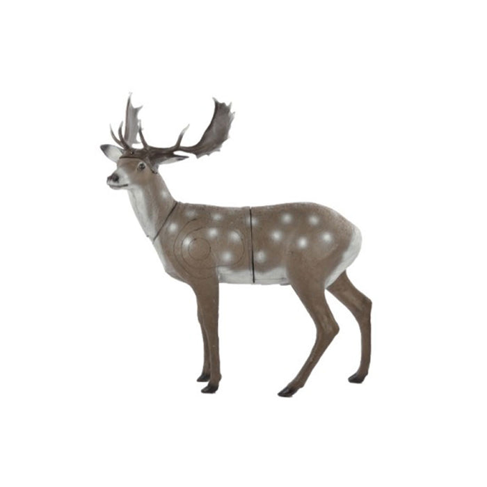 Franzbogen_Damhirsch_stehend