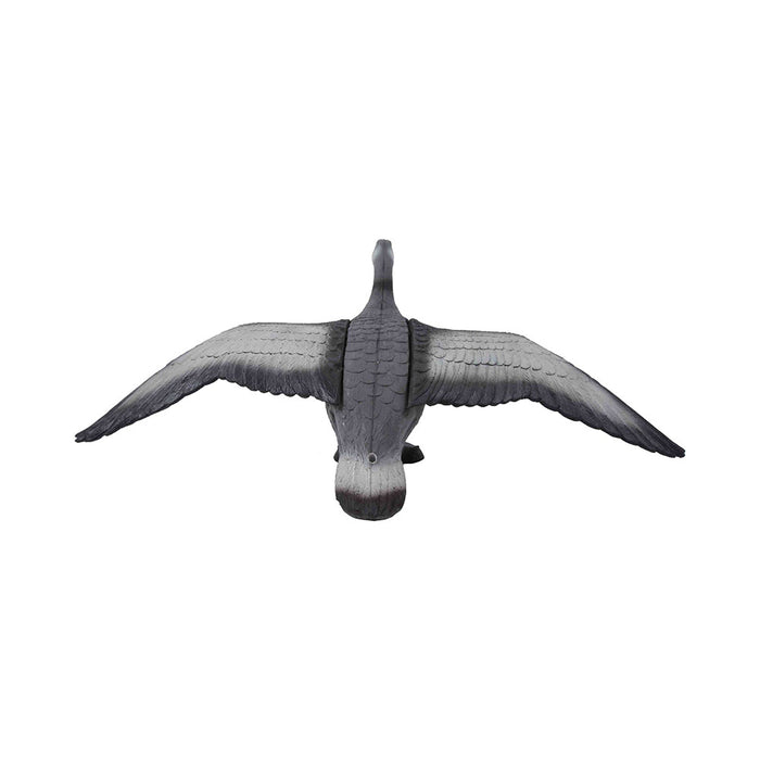 Franzbogen_Graugans_fliegend_2
