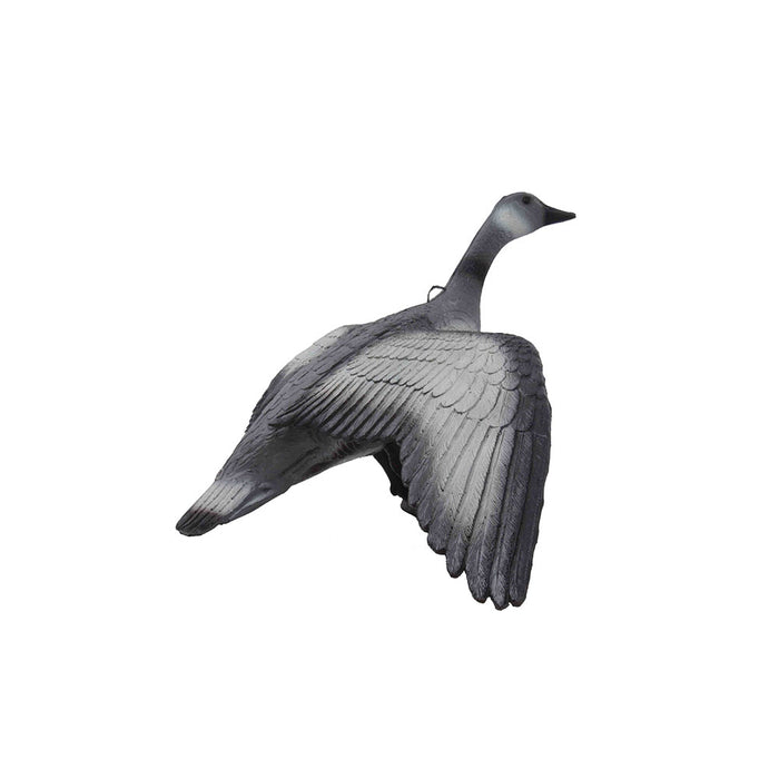 Franzbogen_Graugans_fliegend_3