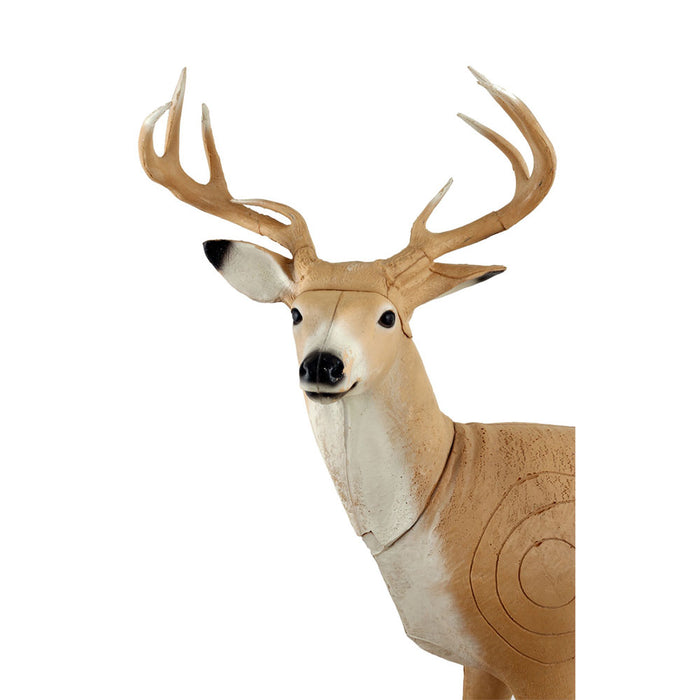 Franzbogen_Hirsch_stehend_2