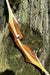 Woodwork R03