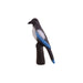 IBB_Elster_2