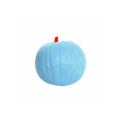 IBB_Kuerbis_blau