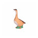 IBB_Nilgans