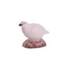 IBB_Schneehuhn_Henne_1