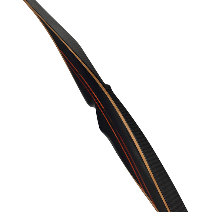 Bodnik Bows Raven Carbon Bodnik Archery