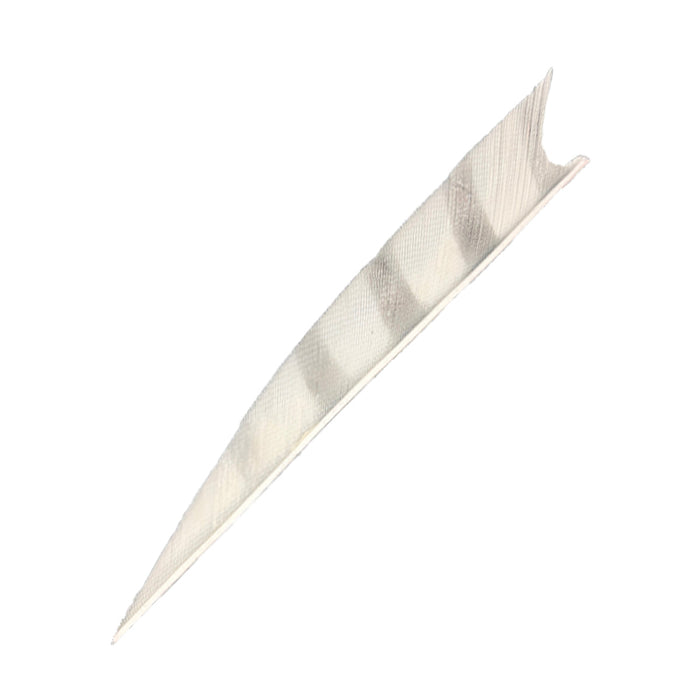 Feder RW Shark Barred