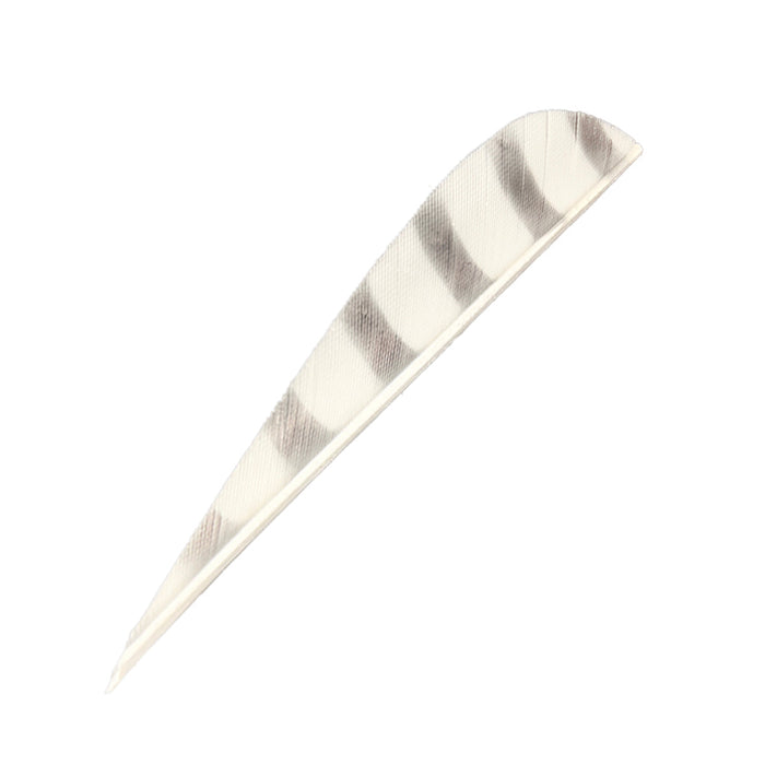 Feder RW Parabol Barred