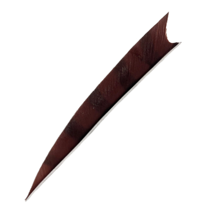 Feder RW Shark Barred