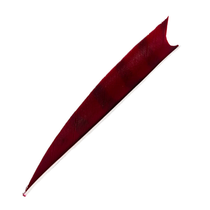 Feder RW Shark Barred
