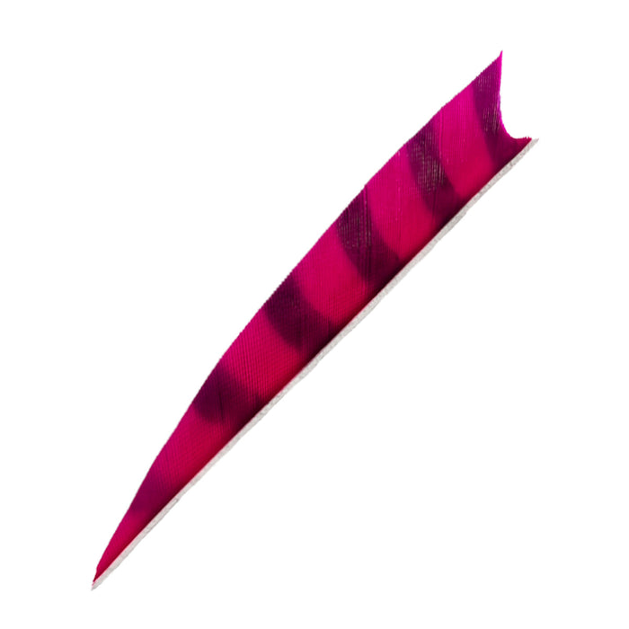 Feder RW Shark Barred