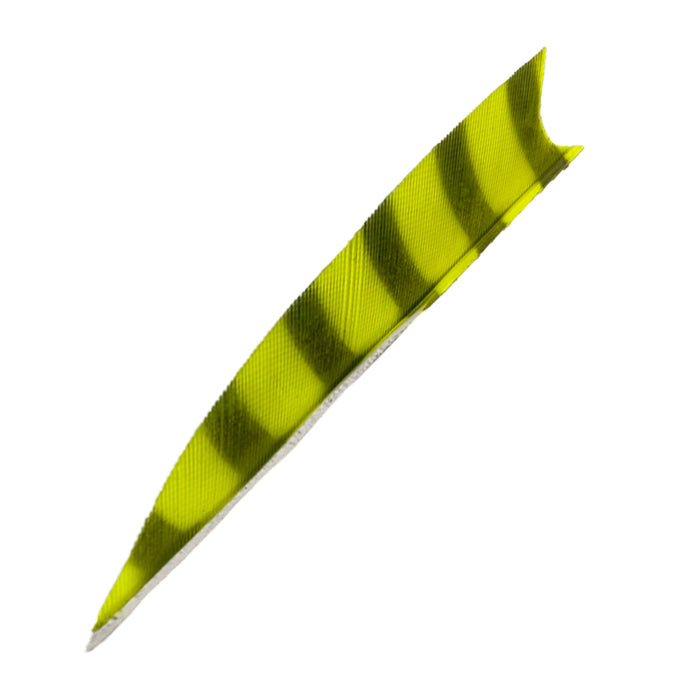 Feder RW Shark Barred