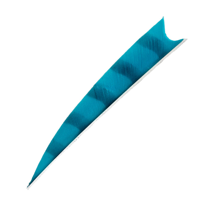 Feder RW Shark Barred