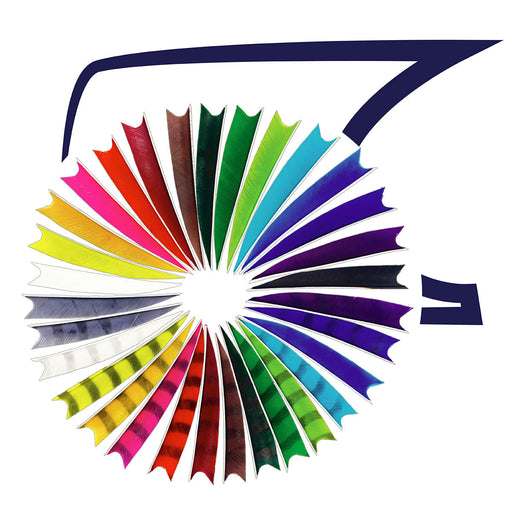 Feder RW Shark Bodnik Archery