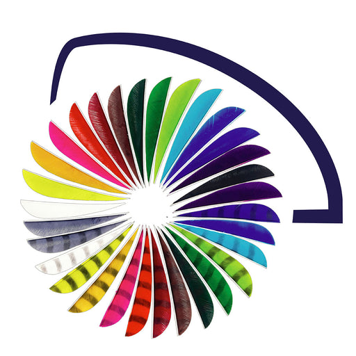 Feder RW Parabol Bodnik Archery