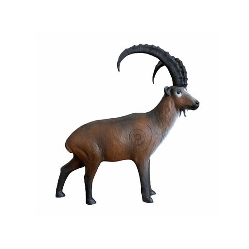 Leitold_Alpensteinbock_1