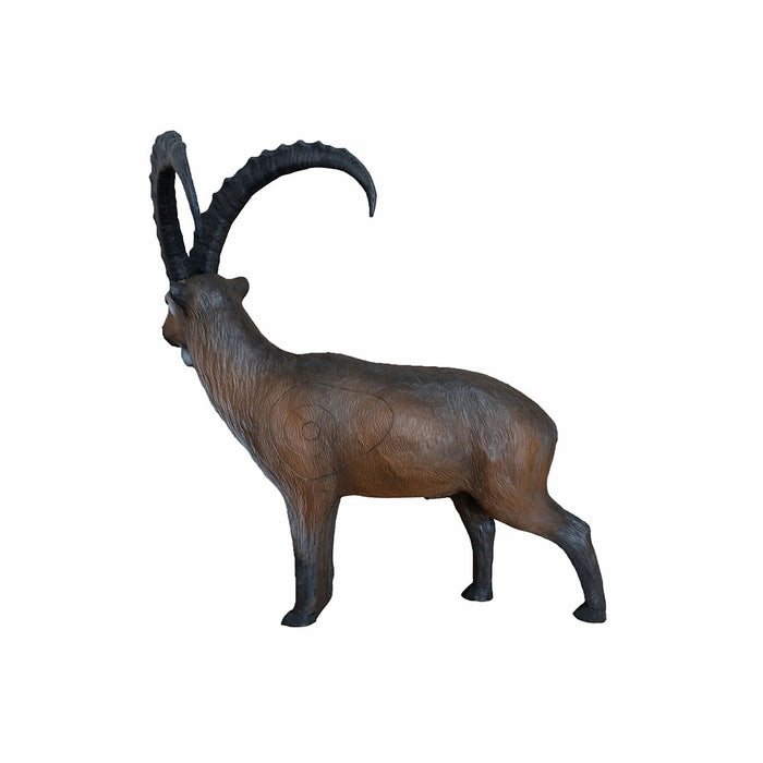 Leitold_Alpensteinbock_2