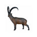 Leitold_Alpensteinbock_2