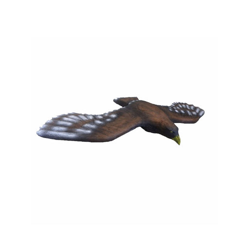 Leitold_Steinadler_fliegend_1