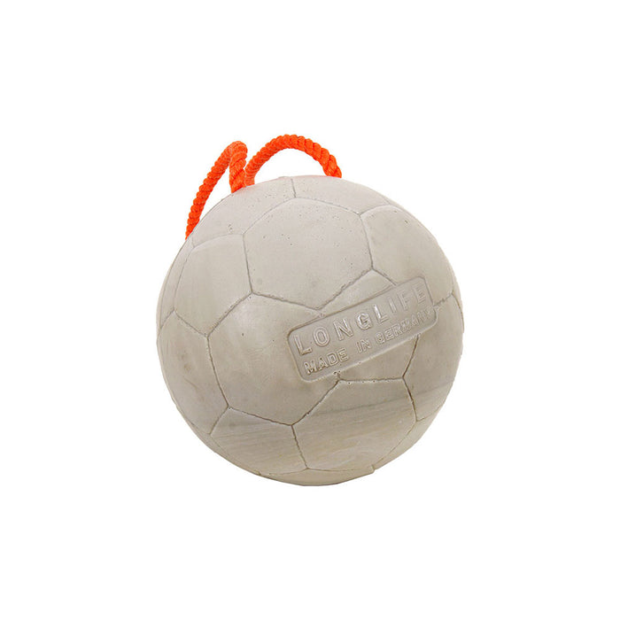 Longlife_Ball_2
